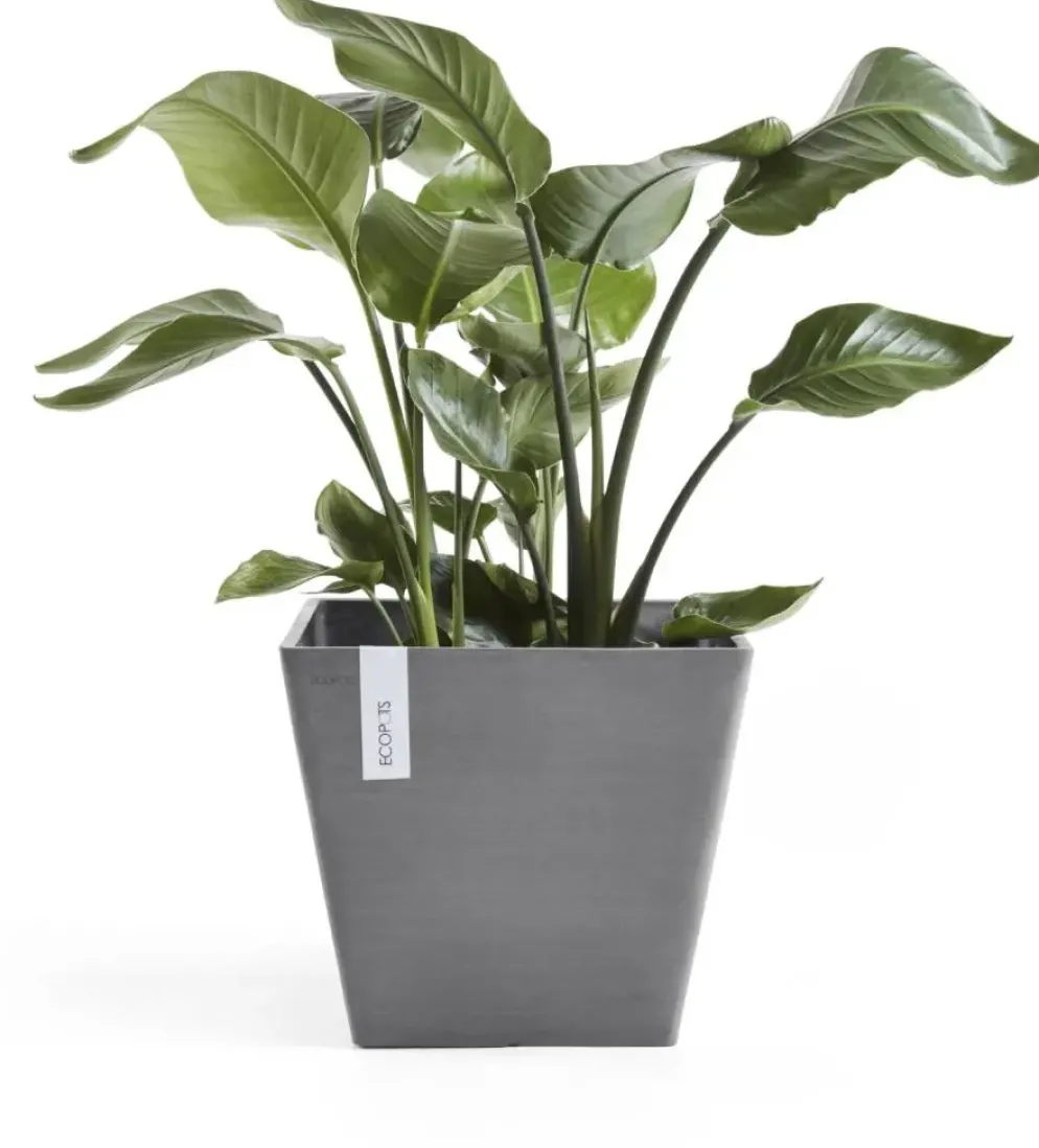 Ecopots kunststof plantenbak rotterdam 40x40x35 cm grijs