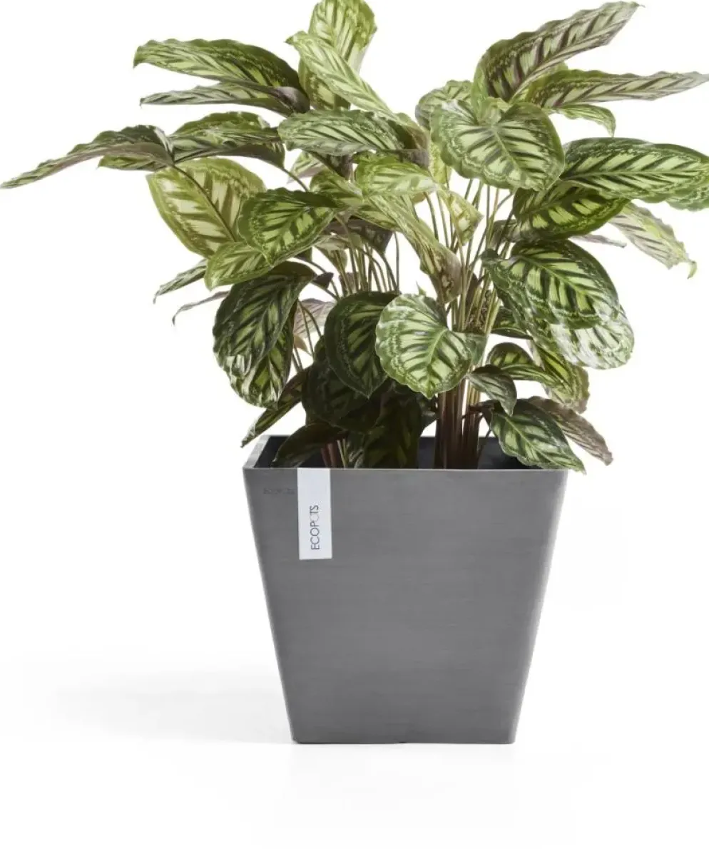 Ecopots kunststof plantenbak rotterdam 40x40x35 cm grijs