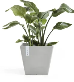 Ecopots kunststof plantenbak rotterdam 40x40x35 cm witgrijs