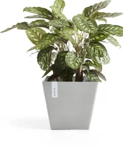 Ecopots kunststof plantenbak rotterdam 40x40x35 cm witgrijs