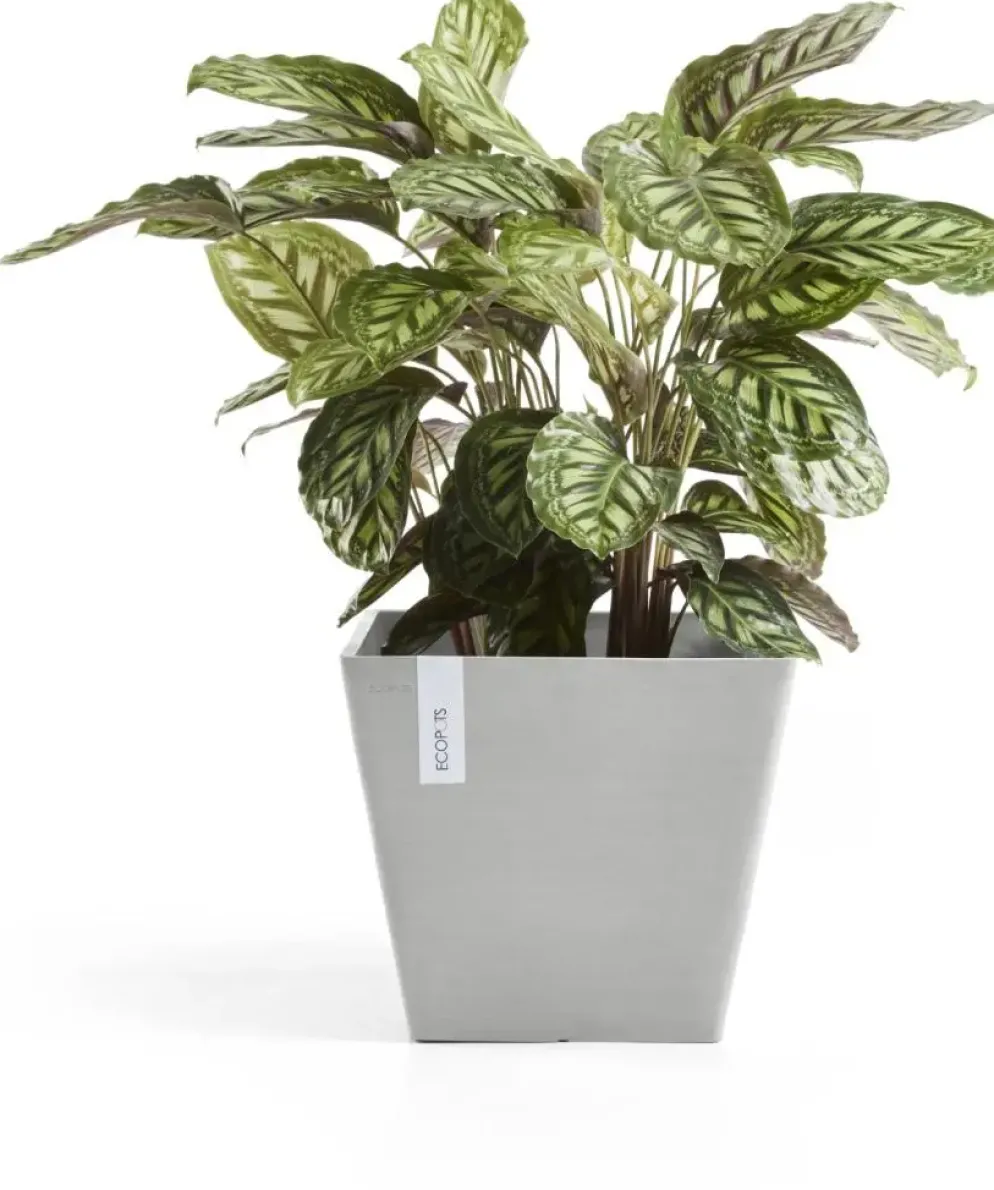 Ecopots kunststof plantenbak rotterdam 40x40x35 cm witgrijs