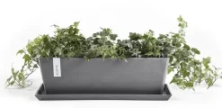 Ecopots kunststof plantenbak bruges 45x17x17 cm grijs