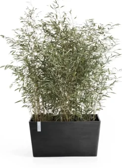 Ecopots kunststof plantenbak paris 100x46.4x51cm donkergrijs