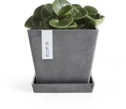Ecopots kunststof rotterdam schotel 18x18x2.5 cm grijs