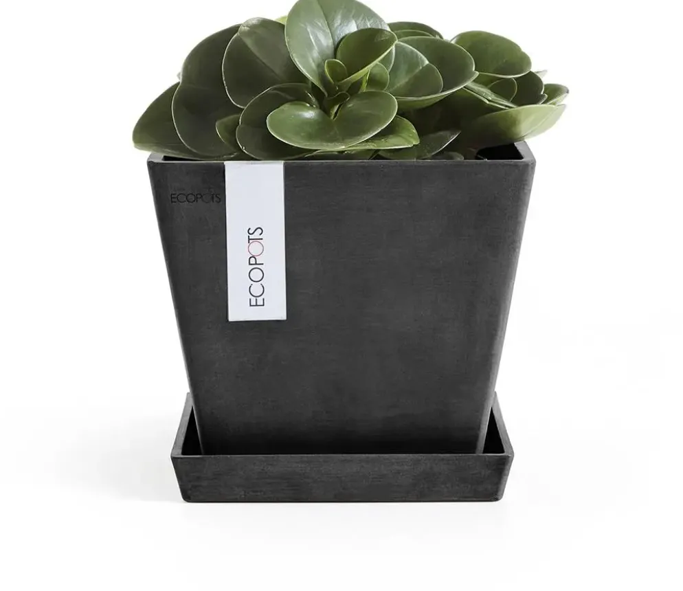 Ecopots kunststof rotterdam schotel 18x18x2.5 cm donkergrijs
