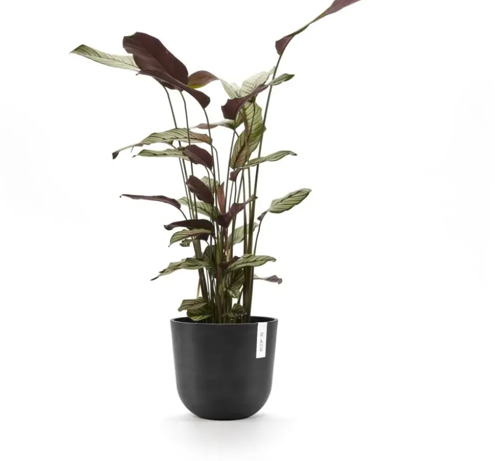 Ecopots Oslo Donkergrijs Ø25cm x H21,8 cm