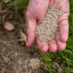 Ecostyle Graszaad-Extra 1 kg