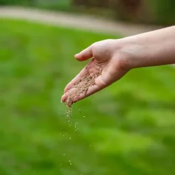 Ecostyle Graszaad-Inzaai 2kg