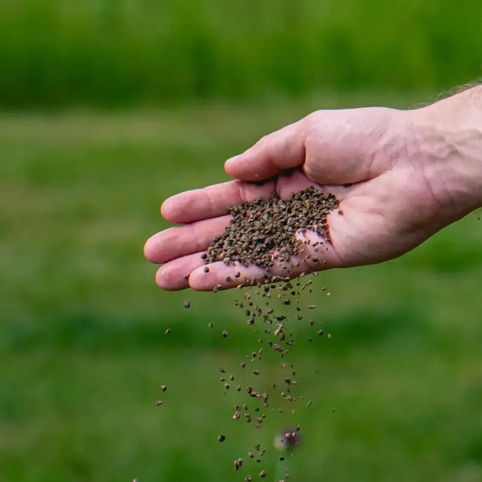 Ecostyle Klimplanten-AZ 800g