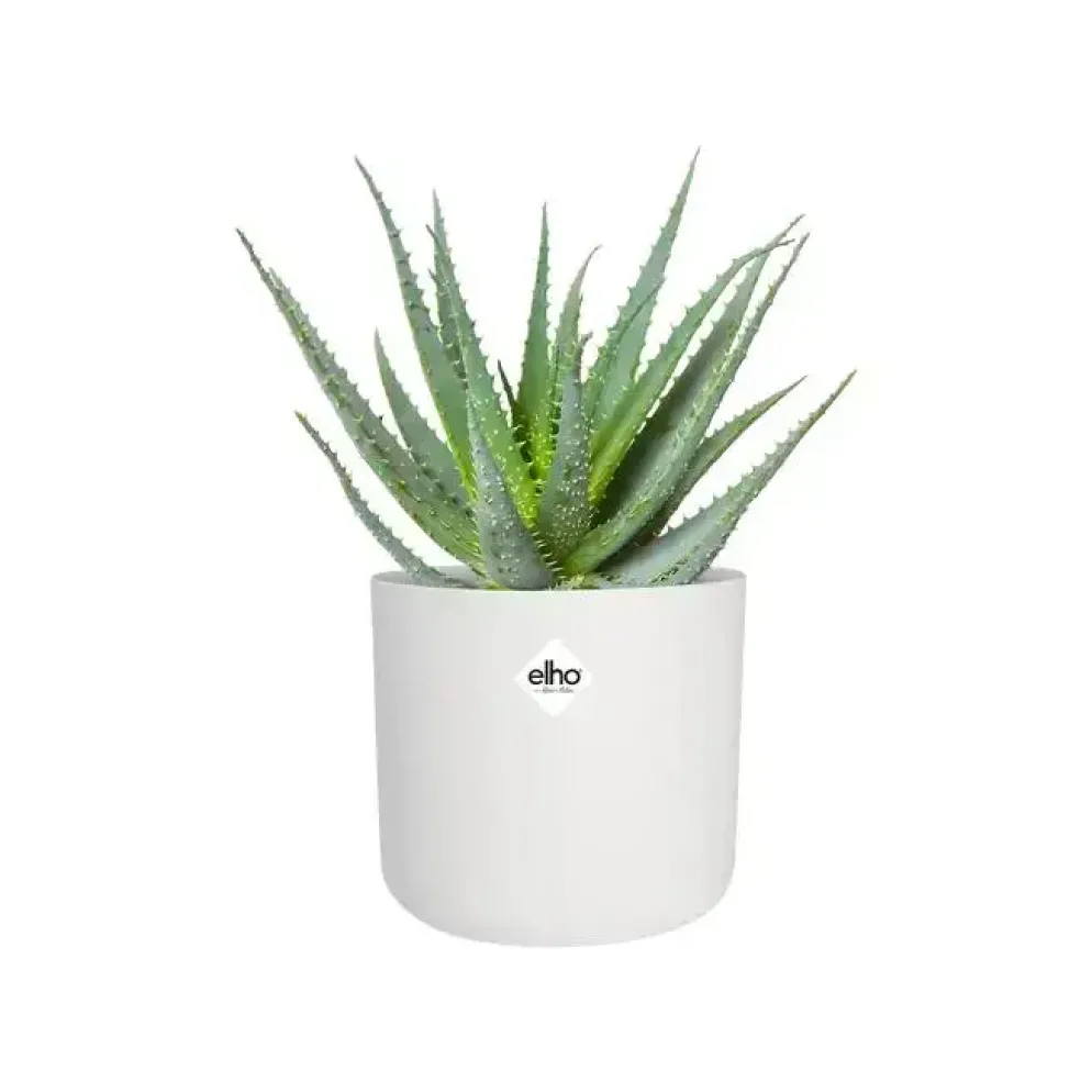 Elho b.for soft bloempot rond 14 cm wit