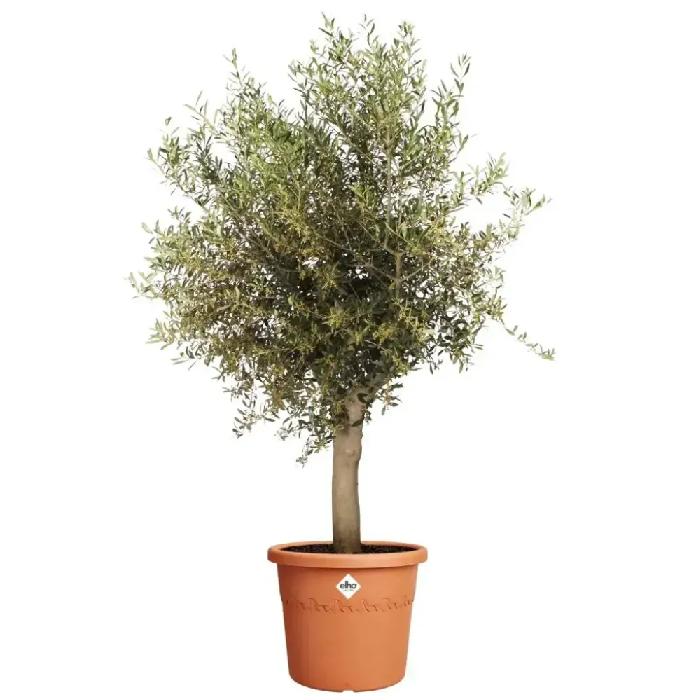 Elho bloempot Algarve Cilindro 58cm terra