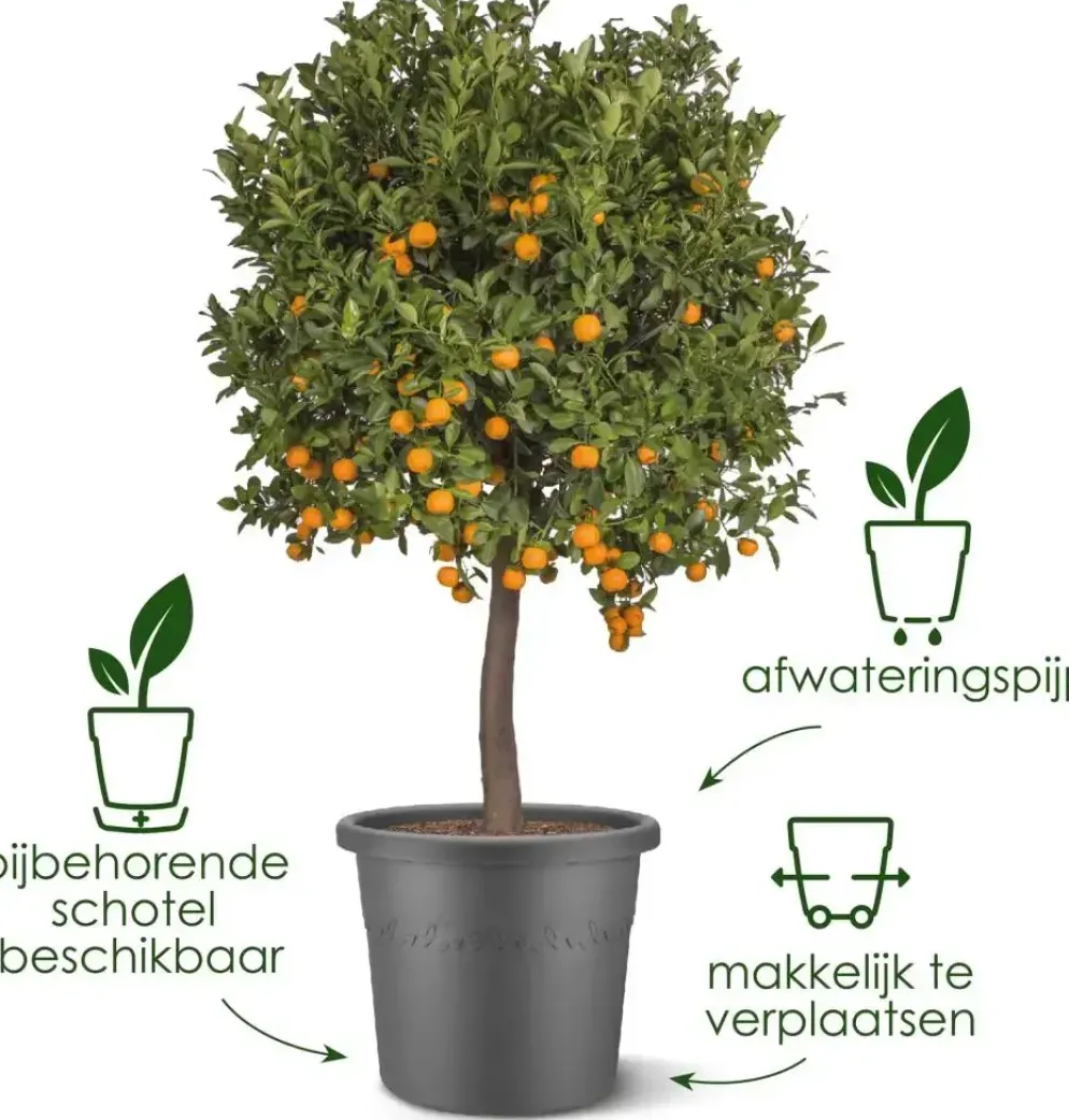 Elho bloempot Algarve Cilindro 58cm terra