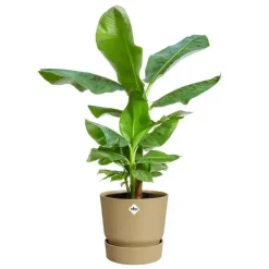 Elho bloempot Greenville 47cm Goudkleurig Zand