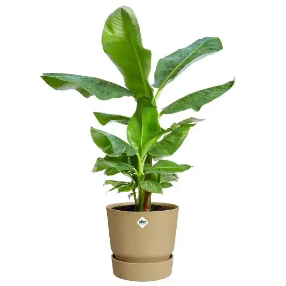 Elho bloempot Greenville 47cm Goudkleurig Zand