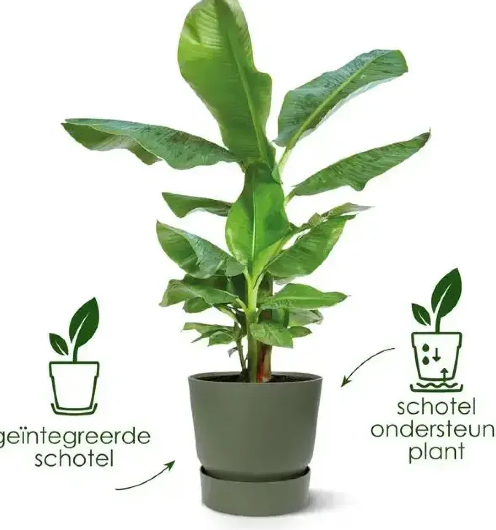 Elho bloempot Greenville 47cm Goudkleurig Zand