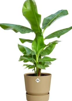 Elho bloempot Greenville 25cm Goudkleurig Zand