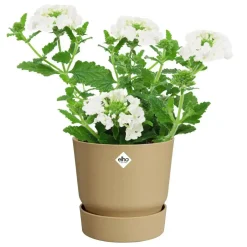 Elho bloempot Greenville 16x15cm goud zand