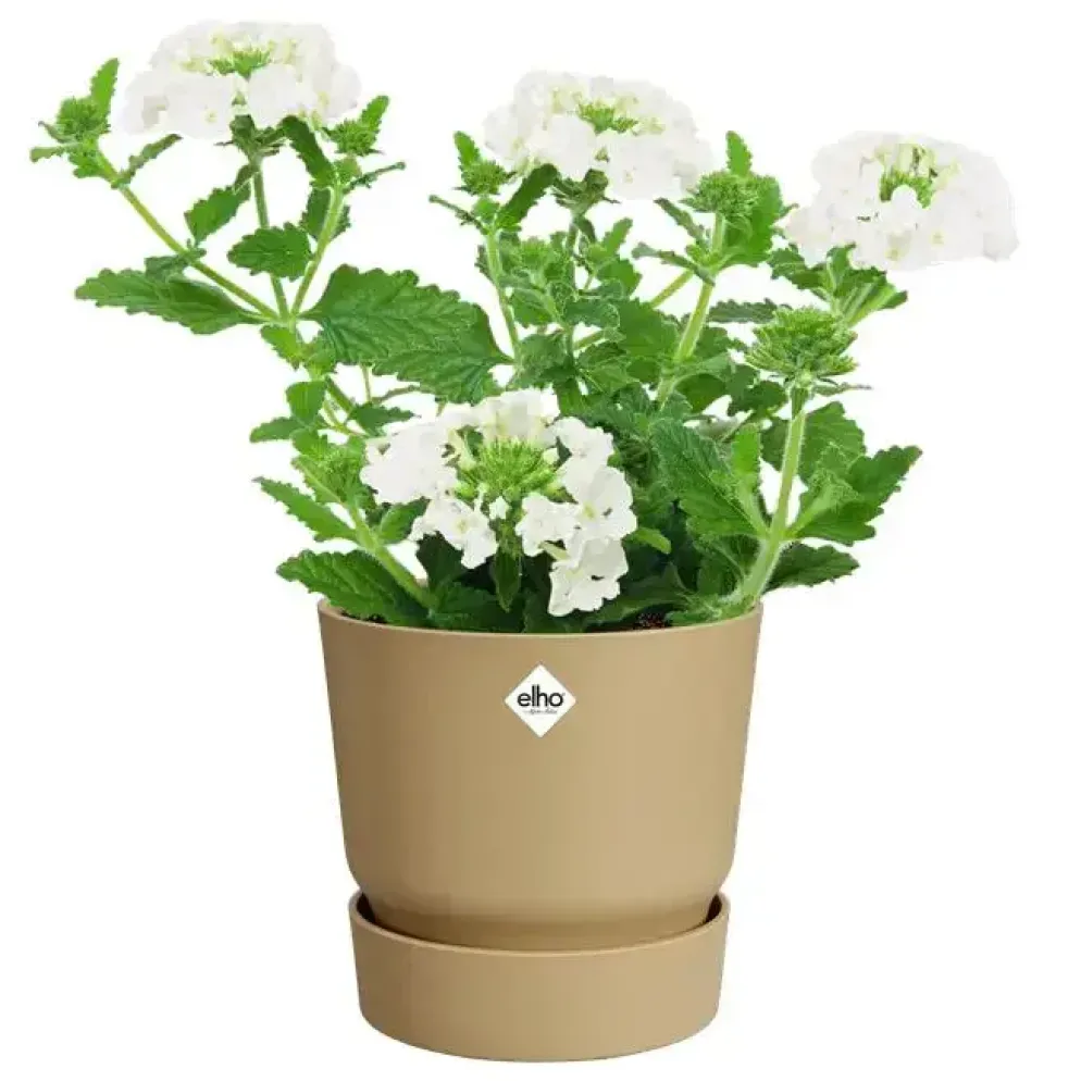 Elho bloempot Greenville 14x13cm goudkleurig zand
