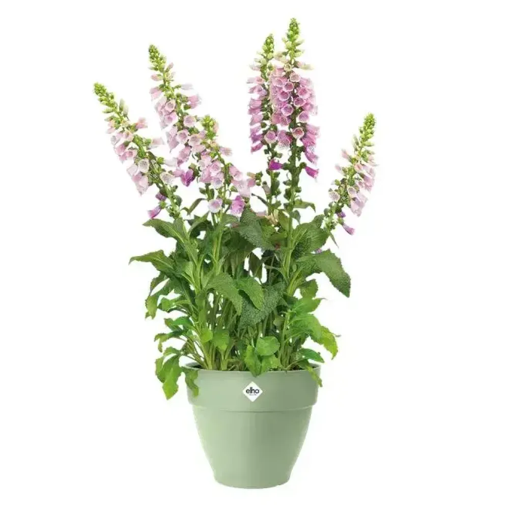 Elho bloempot Vibia Campana 20cm Pistachegroen