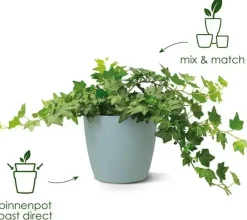 Elho Brussels bloempot rond 16 cm antraciet