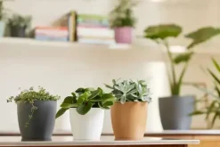 Elho Brussels bloempot rond 16 cm antraciet