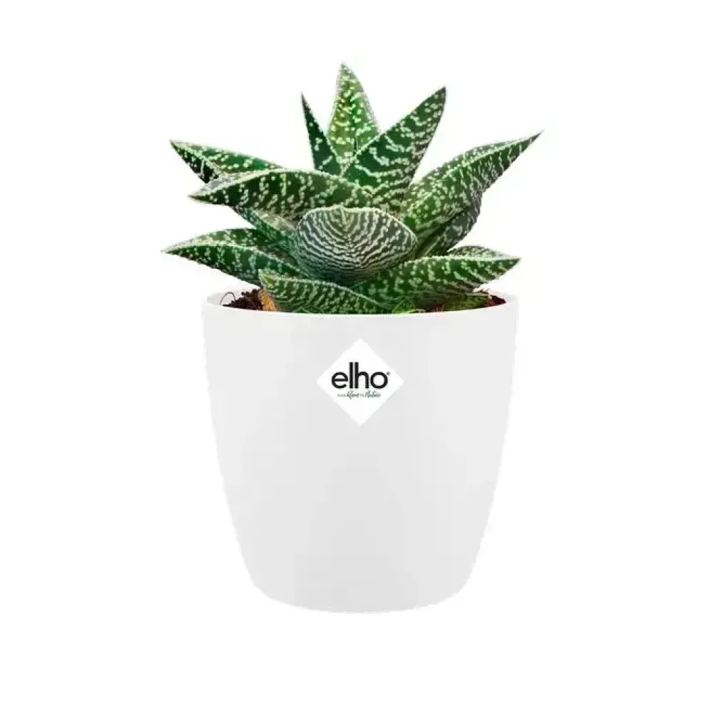 Elho Brussels Mini bloempot rond 10,5 cm wit