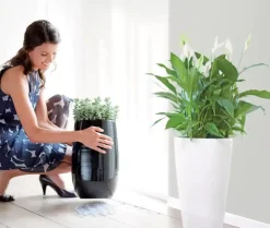Elho floorprotector rond onderzetter 12,5 cm transparant