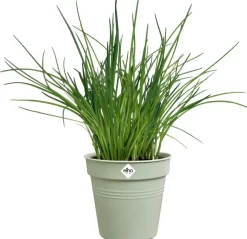 Elho Green Basics kweekpot 13cm steengroen