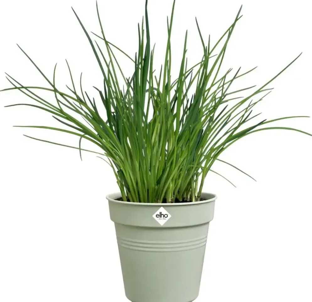 Elho Green Basics kweekpot 13cm steengroen