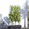 Elho green basics veggie wall 80 cm living black