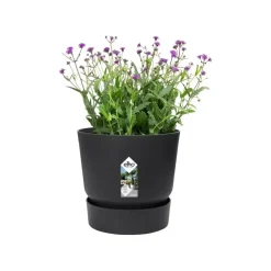 Elho Greenville bloempot 14 cm living black