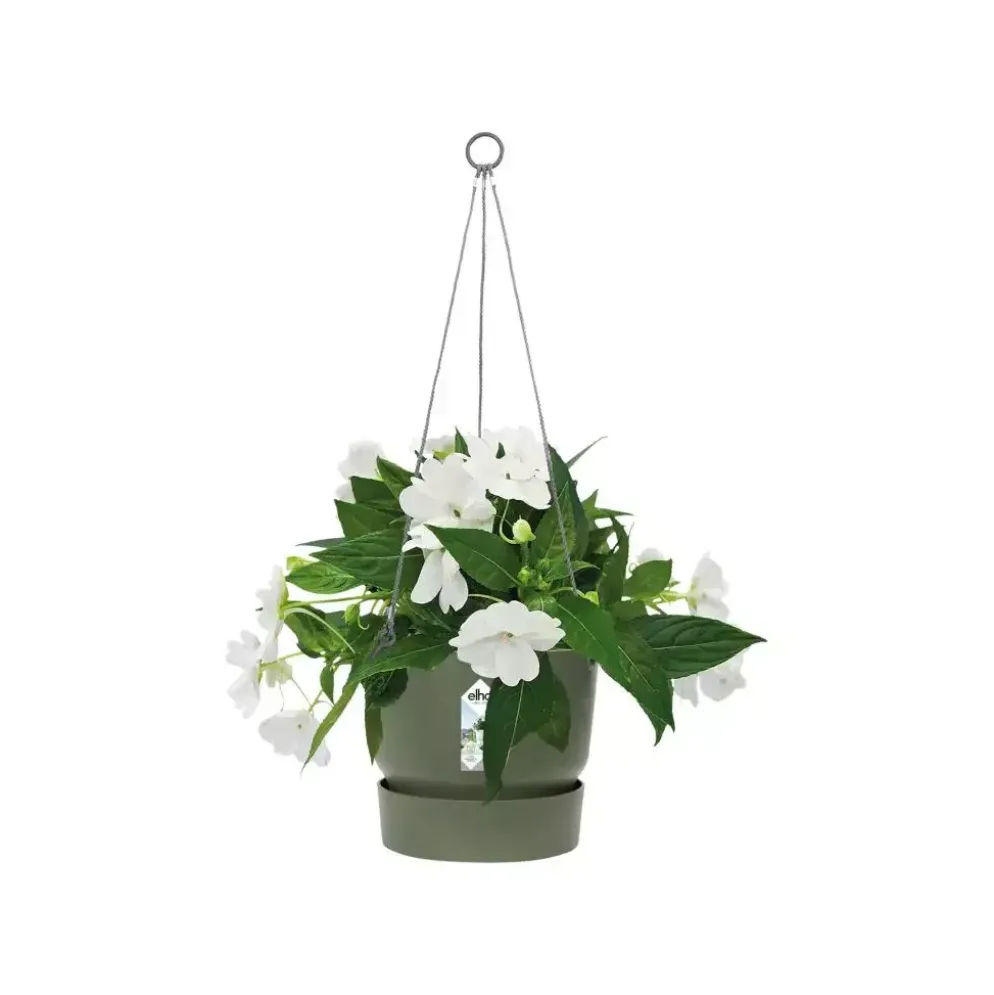 Elho Greenville Hangschaal kunststof 24 cm blad groen