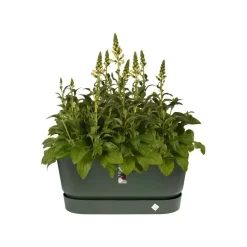 Elho Greenville terrace Trough kunststof bloembak 80 blad groen