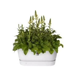 Elho Greenville terrace Trough kunststof bloembak 80 wit