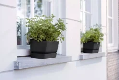 Elho Greenville Trough Long kunststof bloembak 70 cm living black