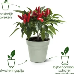 Elho kweekpot green basics 19cm steengroen