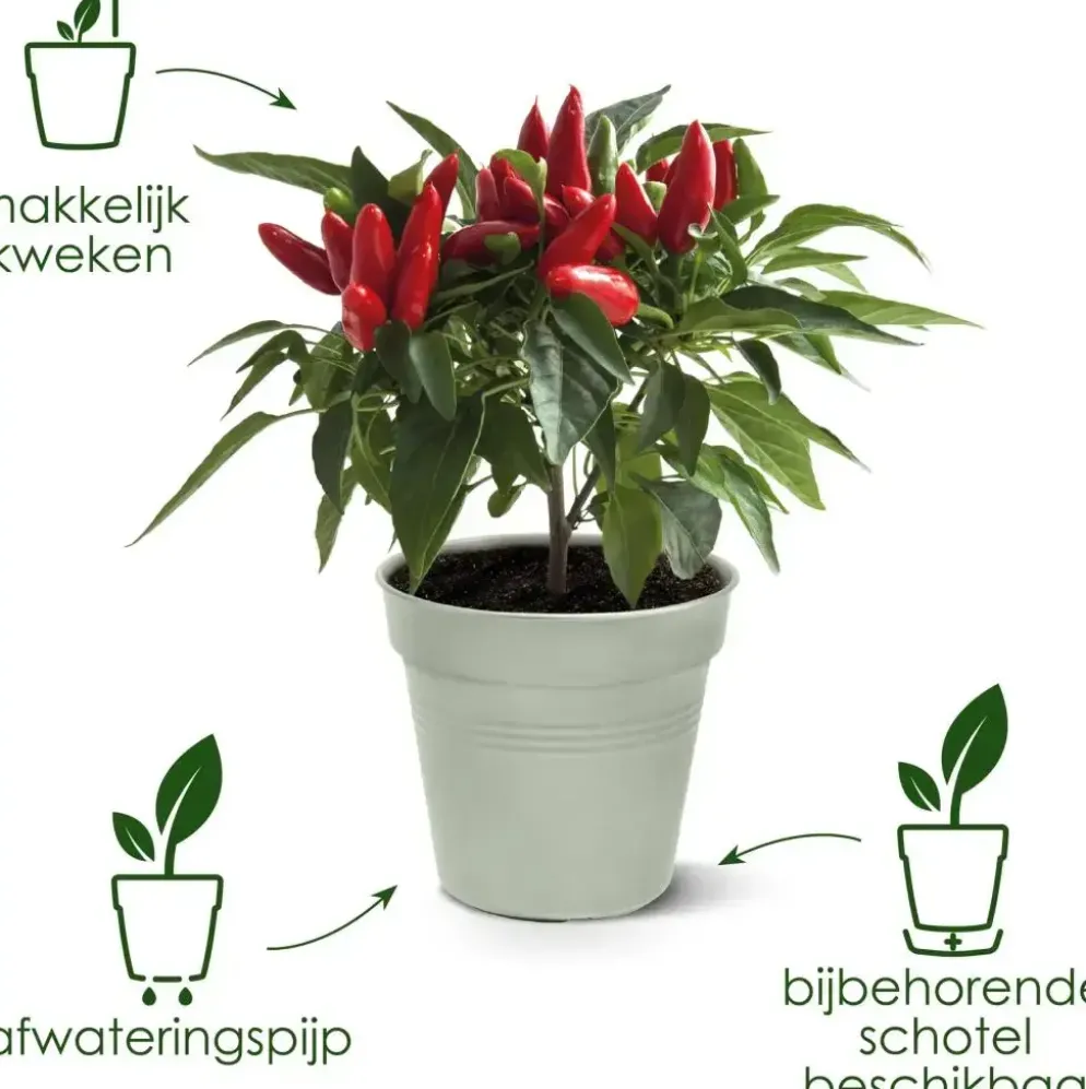 Elho kweekpot green basics 19cm steengroen