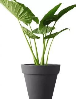 Elho pure bloempot rond 60 cm antraciet
