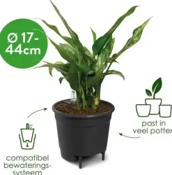 Elho Self-watering Insert Waterreservoir 17 cm living black