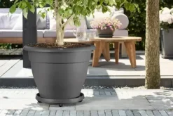 Elho universele planttaxi 40 cm antraciet