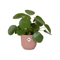 Elho Vibes Fold bloempot 14 cm delicate roze