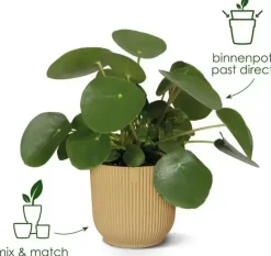 Elho Vibes Fold bloempot 14 cm delicate roze