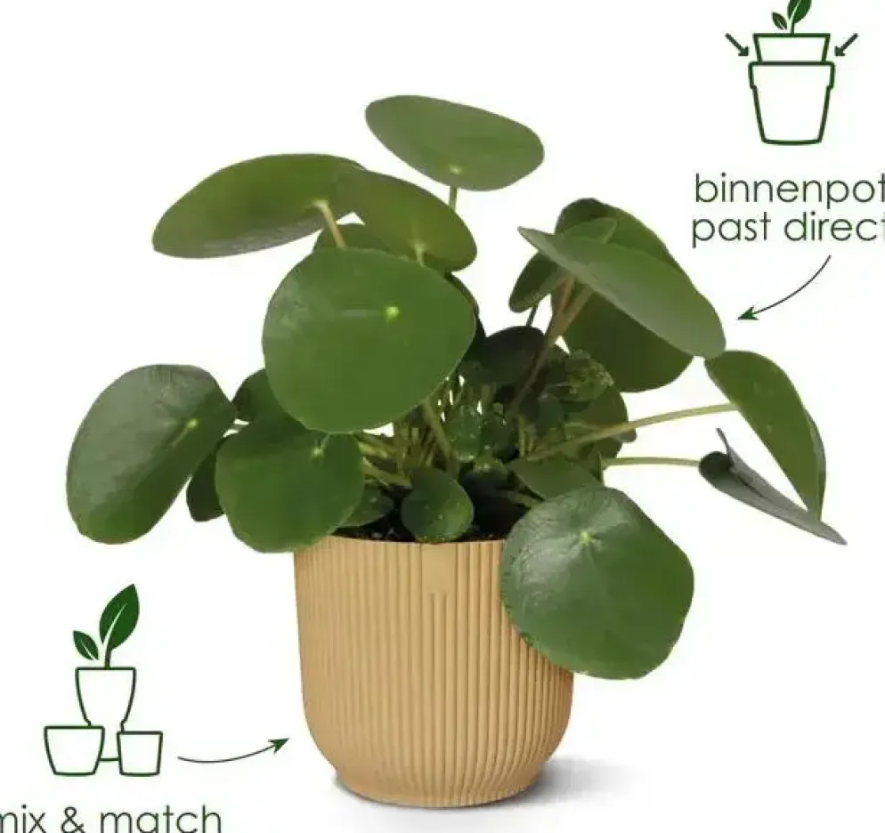 Elho Vibes Fold bloempot 14 cm delicate roze