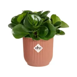 Elho vibes fold bloempot mini 7 cm delicaat roze