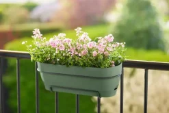 Elho Vibia Campana balkonbak 50 cm pistache groen