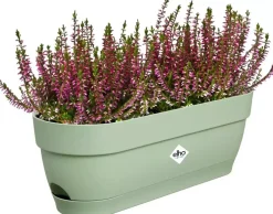 Elho Vibia Campana balkonbak 50 cm pistache groen