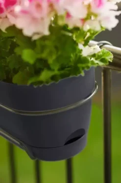 Elho Vibia Campana balkonbak 50 cm antraciet