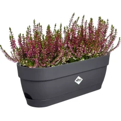 Elho Vibia Campana balkonbak 50 cm antraciet