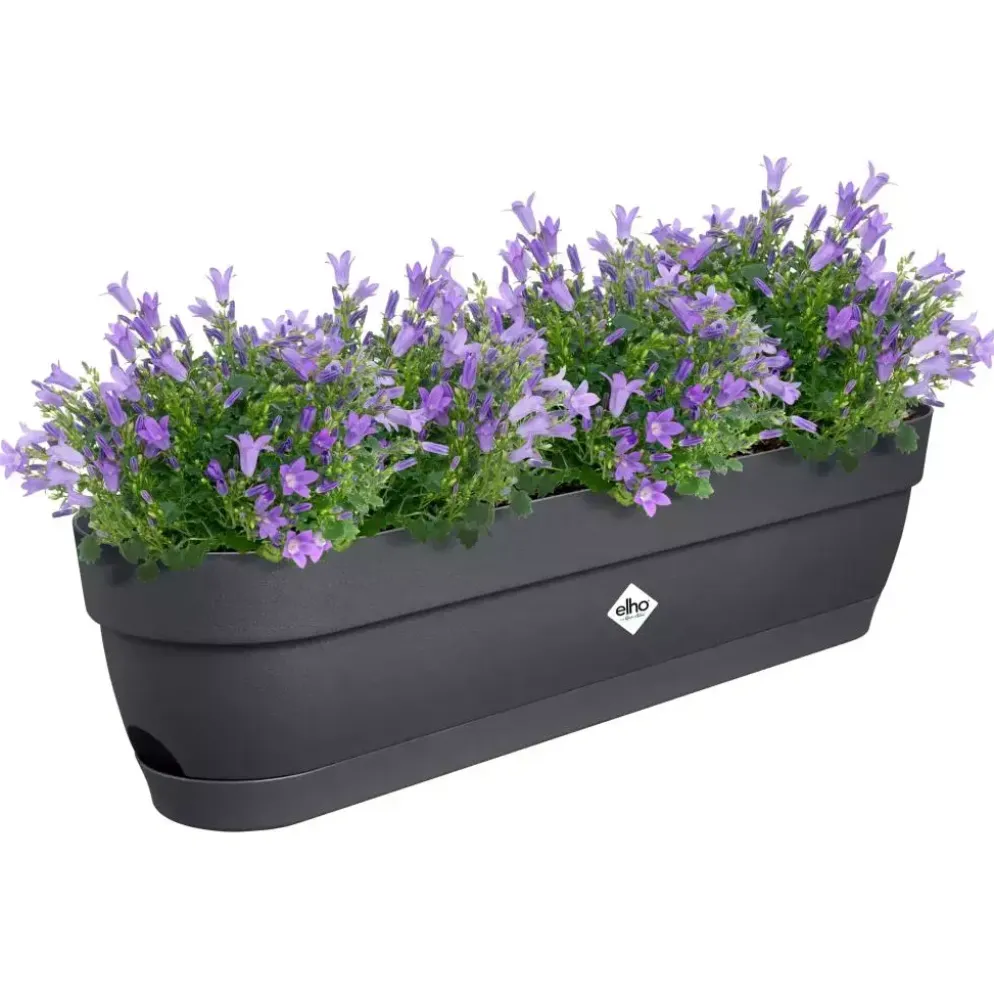 Elho Vibia Campana balkonbak 70cm antraciet