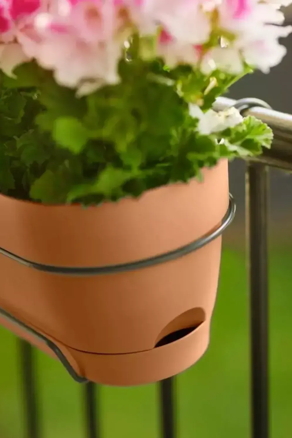 Elho Vibia Campana balkonbak 50 cm terra